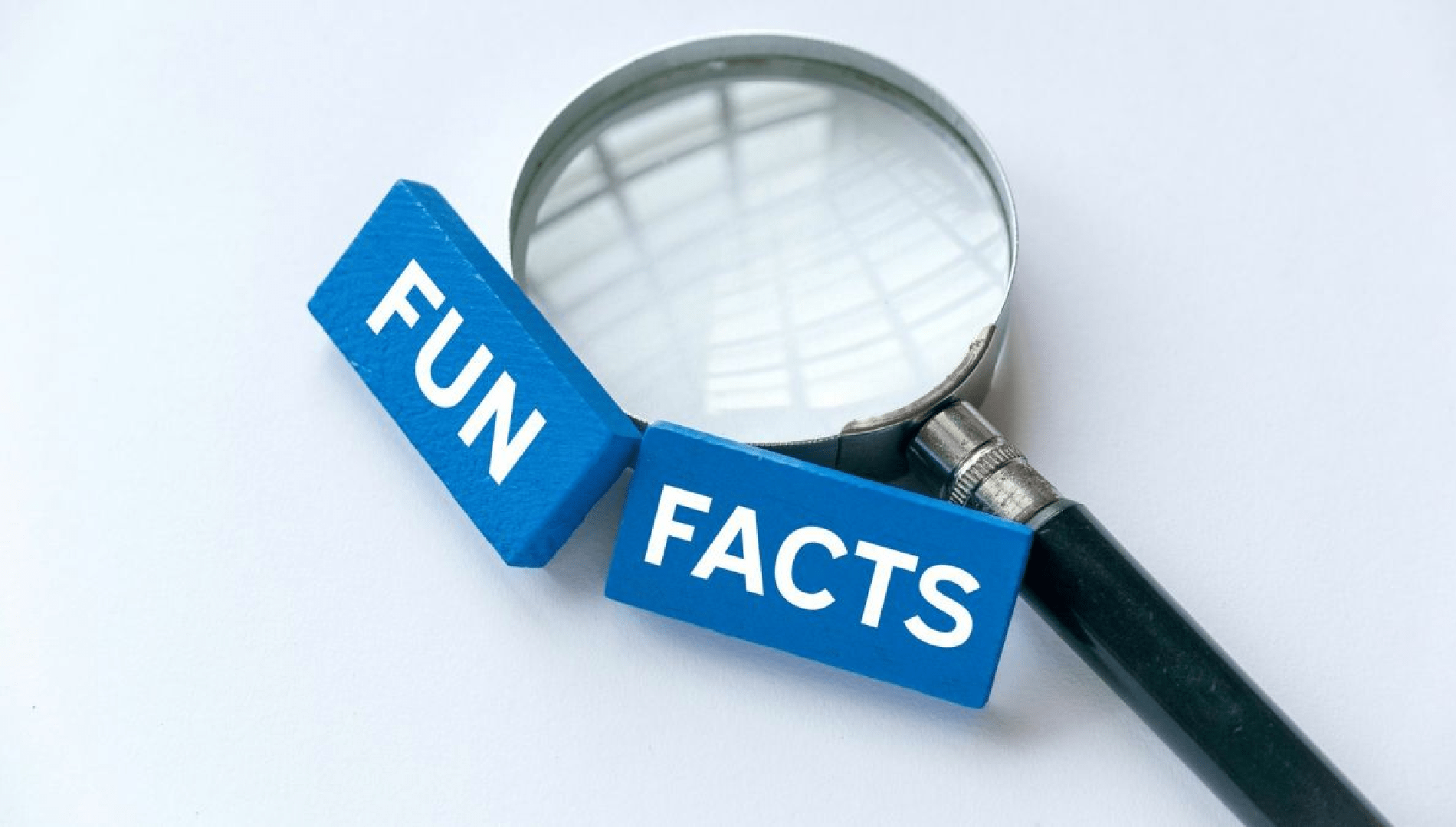 Fun Facts About Gambling and Online Casinos