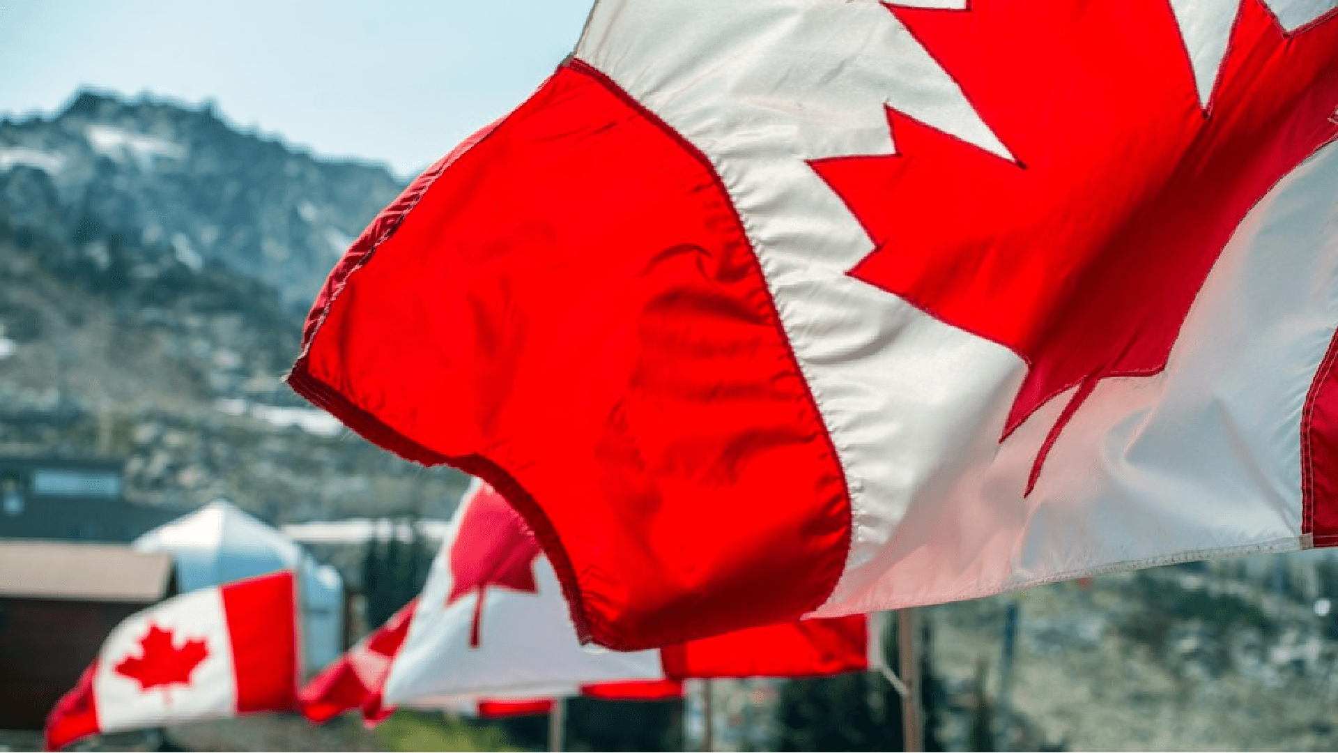 Canadian Gaming News: AbsoluteBet Latest To Join the Party in Ontario